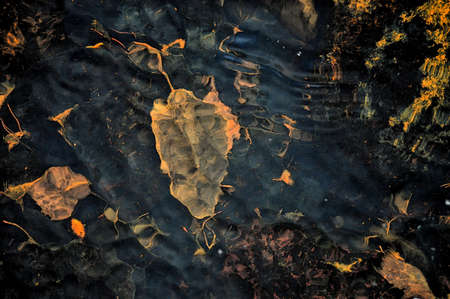 Abstraction. Autumn fallen leaves under water at the bottom. Water waves on the surface. Watercolor paintingの写真素材