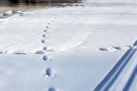 Winter landscape on a sunny day. Ski and snowmobile road along the river. human footprints. The ice...