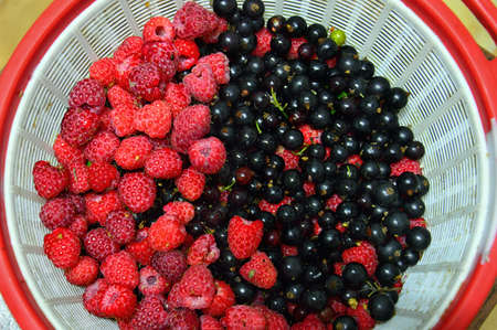 Fresh raspberries and black currants lie in a round cup. Delicious, healthy and healthy food. top...