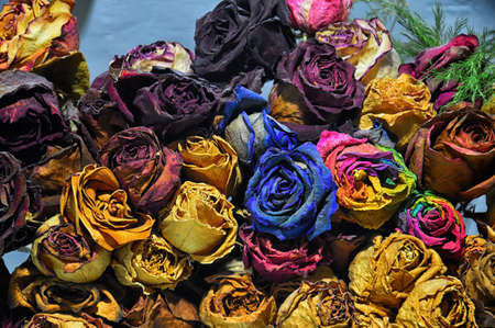floral background. A lot of multi-colored rose buds with a green sprig. Decoration and interior design. Dry flowersの写真素材