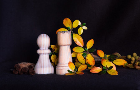 Still life on a dark background. Autumn wild rosemary and alder seeds. Handmade wooden chess pieces Pawns and Rooks.の写真素材