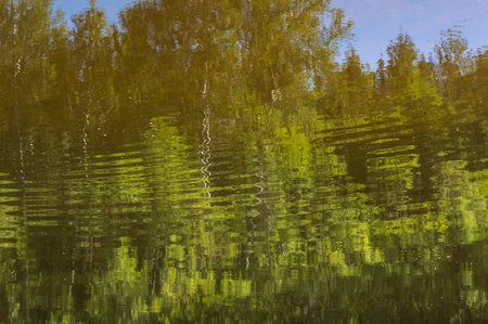 Reflection of trees in the water of the lake. abstract background.