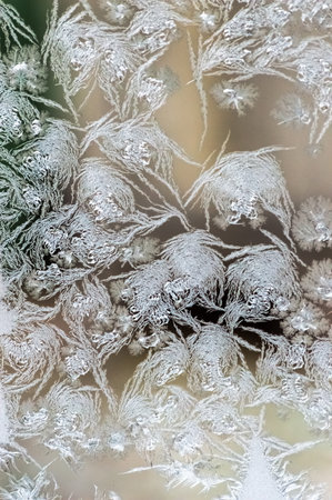 Frosty natural pattern on winter window glass. Winter background. The frosty pattern on the glass is...