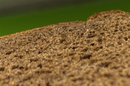 Slices of brown bread on a green background close-upの写真素材