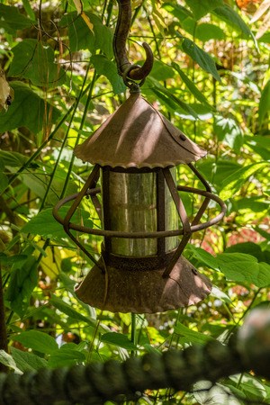 abandoned rusty street lamp hidden in foliage with cylinder shadeの写真素材