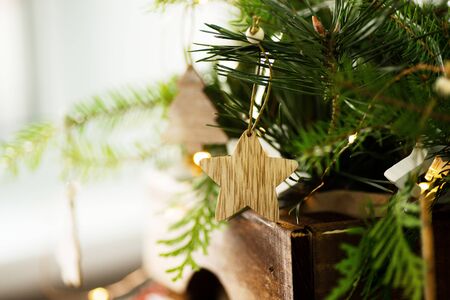 Rustic natural background.の写真素材