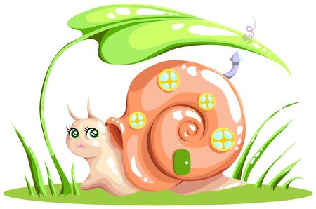 snail with a house for your designの写真素材