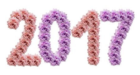 2017 roses on a white  isolated background with clipping path. flower composition. Pink and purple...