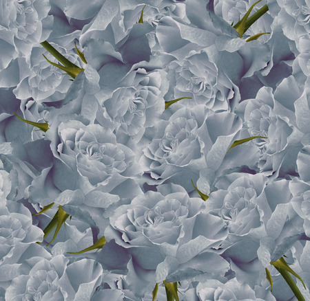 Vintage floral  turquoise  beautiful background.  Flower composition. Bouquet of flowers from  light  turquoise  roses. Close-up. Nature. の写真素材
