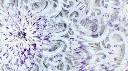 Floral white-blue background. Flowers dahlia close-up. floral collage.  Flower composition. Nature.の写真素材