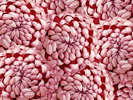 Floral  red  background. A bouquet of  blue flowers dahlias.  Close-up.   Flower composition. Nature.の写真素材