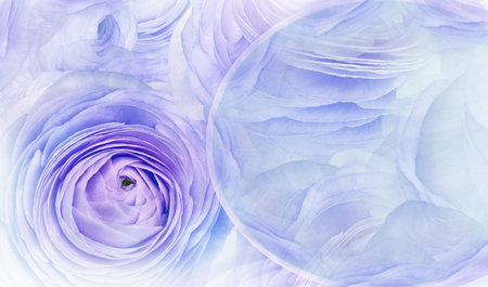 floral background. A bouquet of roses flowers. close-up. flower composition. Nature.