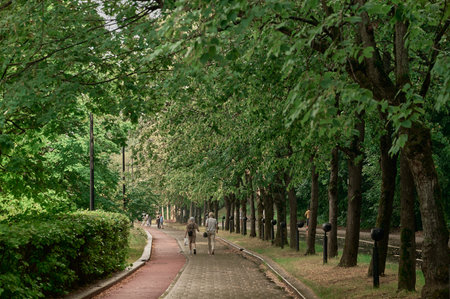 A path in a park with green trees and people walking.の写真素材