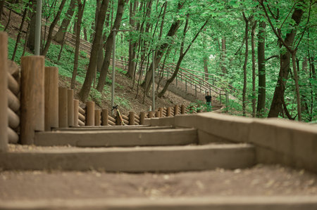 Stairs in the green forest in spring. Selective focus.