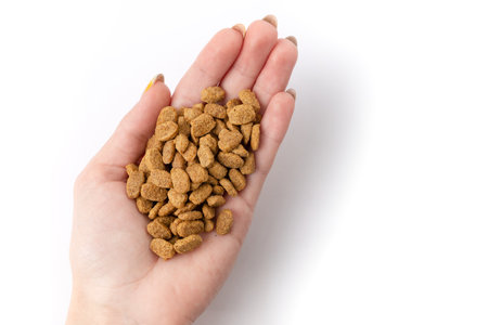 dry pet food in woman hand isolated on white background