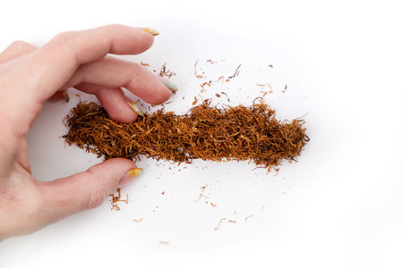 top view of cigarette tobacco with female hand isolated on white backgroundの写真素材