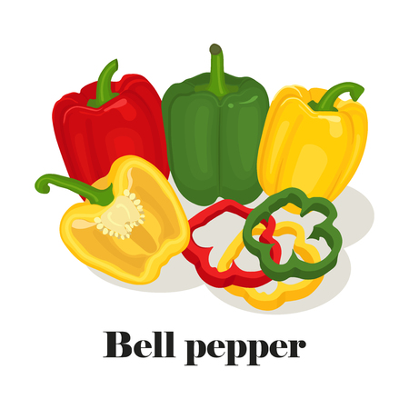 Green, yellow and red bell pepper. Whole, slice and half isolated on white background. Healthy food, diet. Vector illustration. Flat cartoon styleのイラスト素材