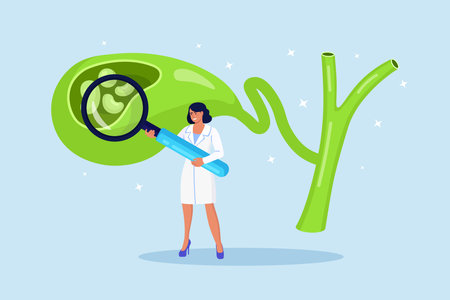 Stones in gallbladder. Gastroenterologist scientist examine gall Bladder with magnifying glass. Doctor treat gallstones. Biliary dyskinesia problems. Cholecystitis laboratory researchのイラスト素材