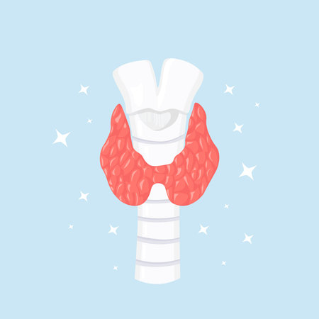 Healthy Thyroid gland with trachea isolated on background. Hypothyroidism, hyperthyroidism concept. Health and medical treatmentのイラスト素材