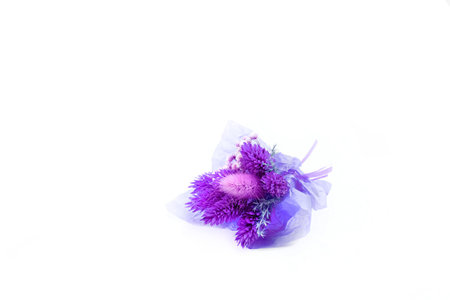 Top view of little cute purple statice flower on white empty paper on blue background in vintage toneの写真素材