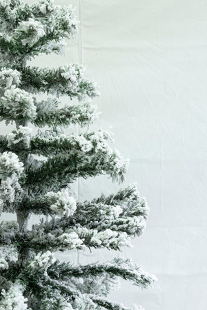 Artificial Christmas tree of green color with snow close-up on a white backgroundの写真素材
