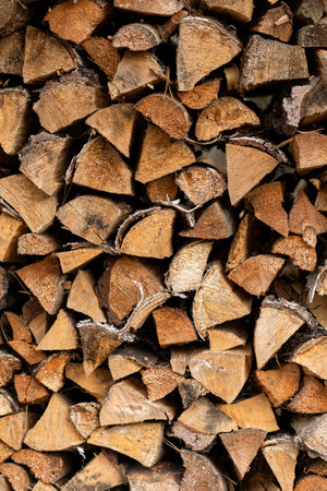 Texture of birch wood, pile of wood logs