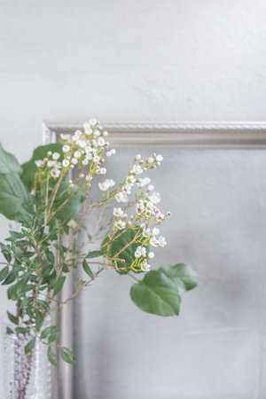Green leaf, green branch, gray background. We swing the paniculate branch. Silver frame on a vertical background.の写真素材