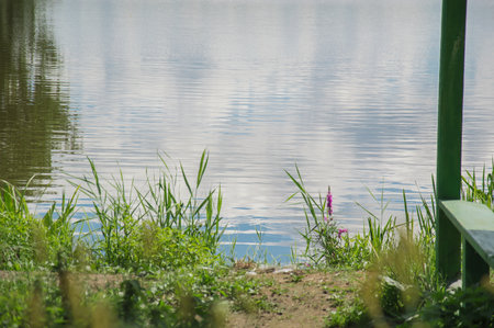 Ponds paid fishing, sports, recreation, horizontal background
