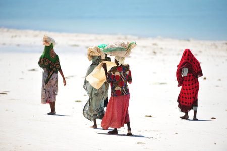 Paradise lostの写真素材