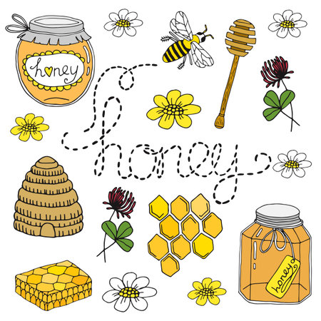 Honey set. hand drawn collection isolated on white backgroundのイラスト素材