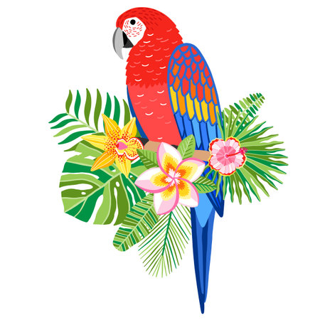 Macaw parrot vector illustration. Tropical bird isolatedのイラスト素材