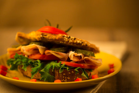 low-calorie sandwich bread with roasted on the grill with turkey and vegetablesの写真素材