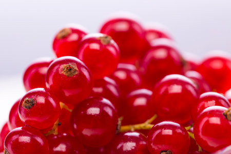 red currants, raspberries and blueberries on a white backgroundの写真素材