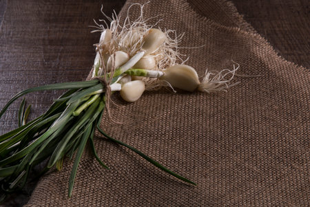 green garlic on a rough canvas in the Gothic styleの写真素材