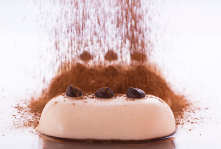 Creamy dessert with grains of white and dark chocolateの写真素材