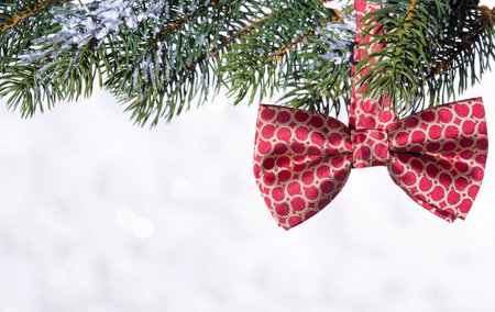 Tie on spruce branch on the background of snowflakesの写真素材