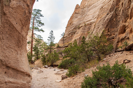 Hiking path through hoodoos at Kasha-Katuwe Tent Rocks National Monumentの写真素材