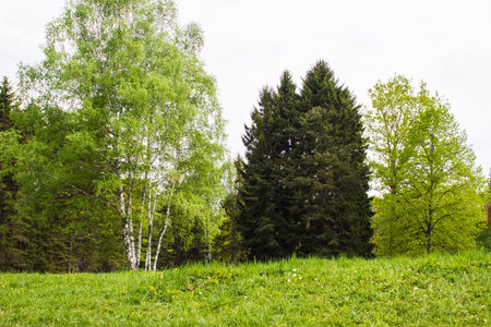 natureの写真素材