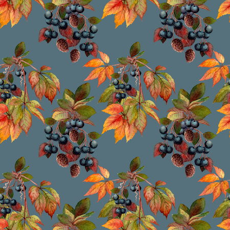 Seamless pattern with autumn watercolor texture Black Chokeberry. Hand drawn floral blue background with fall leaf and foliage. Perfect for botanical endless wallpaper and textile design.の写真素材