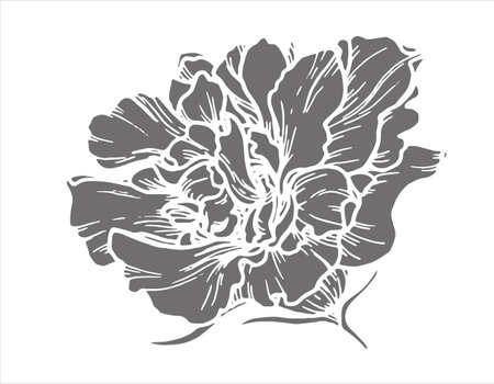 Silhouette botanical vector illustration of flower with leaves. Hand-drawn floral element with a bush branch. Perfect for creating graphic resource in inversion style and product packaging design.のイラスト素材