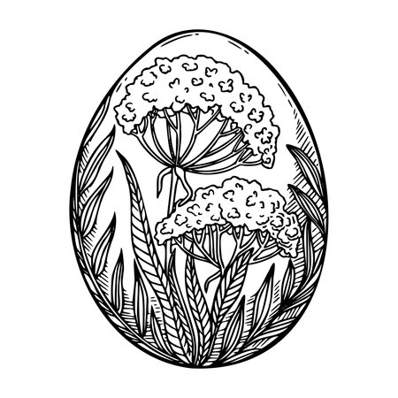 Easter egg painted with wildflower hand drawn sketch. Vintage floral shell vector outline illustration. Use for holiday greeting card design. Perfect for Christian religious and farm themed print.のイラスト素材