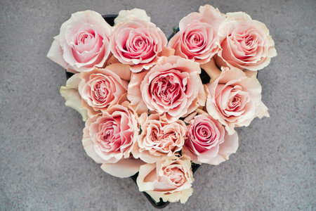 Great gift for Valentines Day. A gift for a couple in love.の写真素材