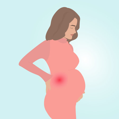 A pregnant woman has a backache. Back stress during pregnancyのイラスト素材
