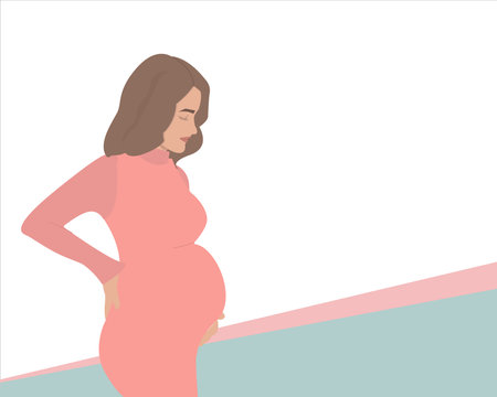 A pregnant girl is holding her belly. Place for text about pregnancy. Planning and management of pregnancy by a doctorのイラスト素材
