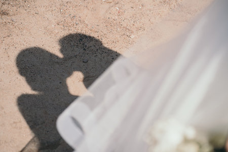 Beautiful shadow with silhouettes of lovers. The couple celebrates Valentines Day. The bride and...