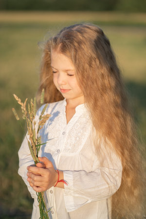 Portrait of a beautiful little girl with blonde hair. The child walks in the field and collects a bouquet. Model appearance in a childの写真素材