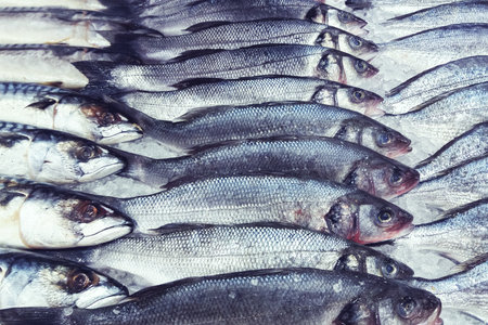 rows of fresh fish on ice at supermarket displayの写真素材