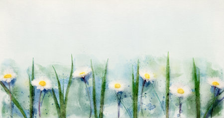 Spring watercolor flowers background with daisies and grass on light blue paper backdropの写真素材