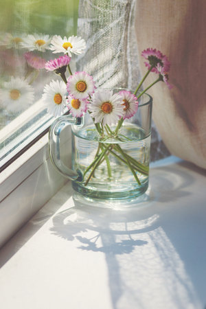 Pink daisies on the windowsill, bunch of wildflowers in glass mug by the windowの写真素材