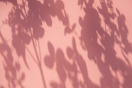 Plant shadows on the pink wall for trendy background